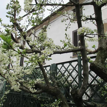Bed & Breakfast Dimora & Arte Canneto sull'Oglio